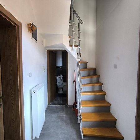 Mountain House - Brezovica Apartment Екстериор снимка